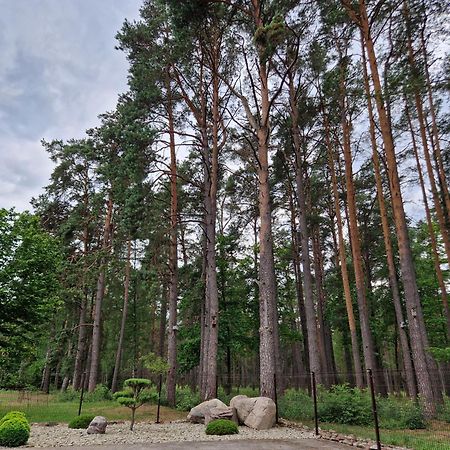 Apartamentai Renata Druskieniki Zewnętrze zdjęcie