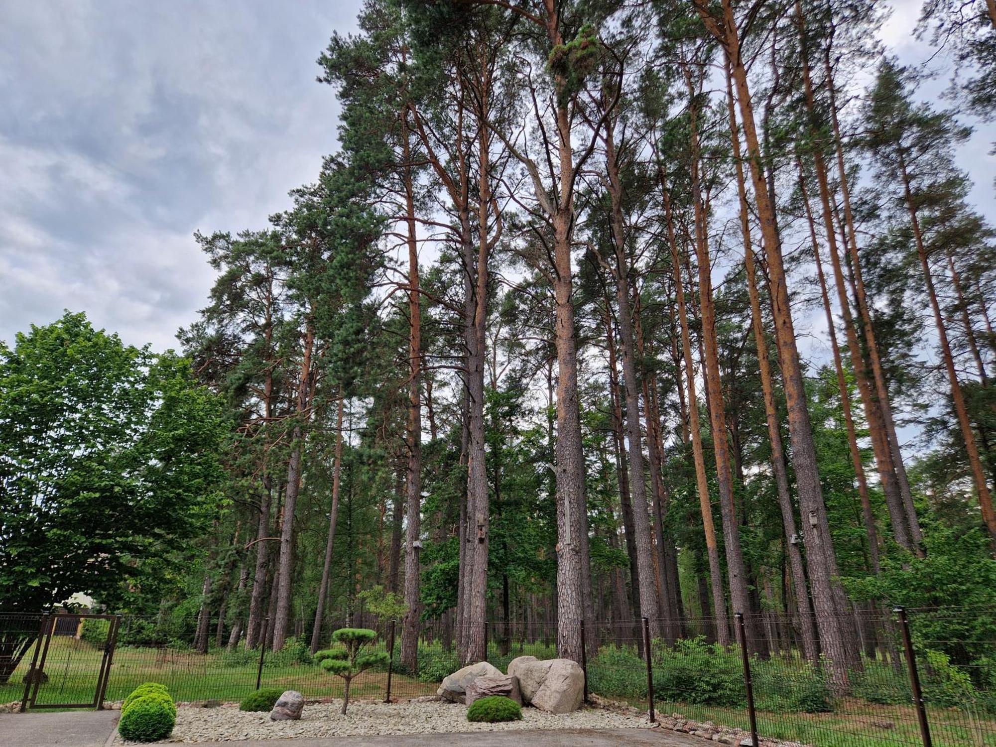 Apartamentai Renata Druskieniki Zewnętrze zdjęcie